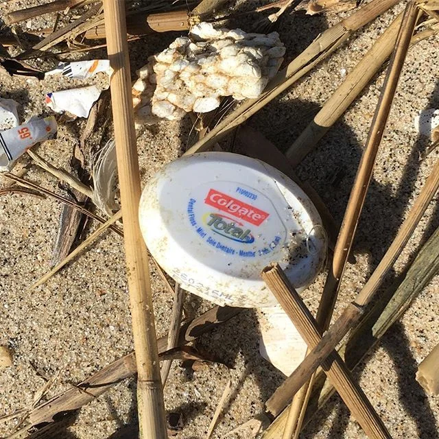 Tsk Tsk @opticwhite  @colgatetotalprotection @colgate. This might be the easiest item for you guys to produce with #biodegradablepackaging. I don't like flossing, but I don't like #crapatmybeach either. Maybe people would like to floss more if you wo