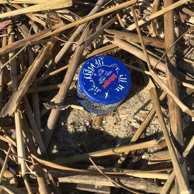 @blistexuk @blistex_canada I found this capsule of lip balm #crap near the nesting ground of a threatened shorebird species. Terns don't have lips! They don't need your lip balm! They need you to #getthiscrapoffmybeach! Please, encourage your consume