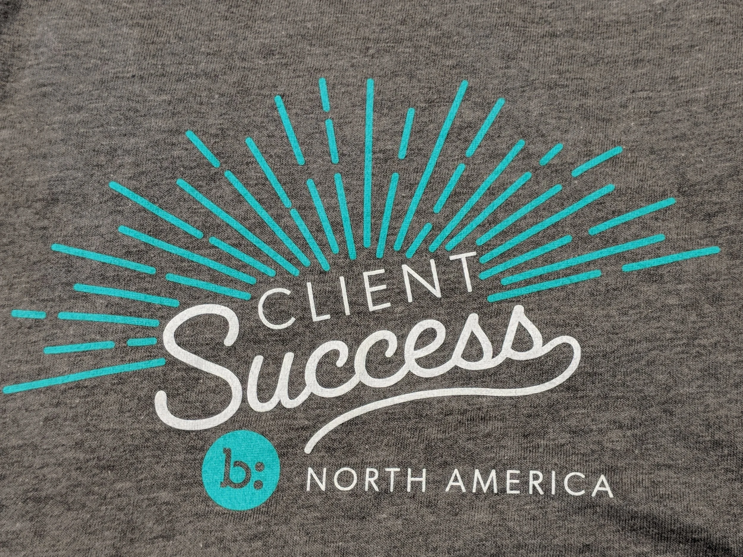 Custom screen printed corporate team shirts manufactured for the Bazaarvoice Client Success department.