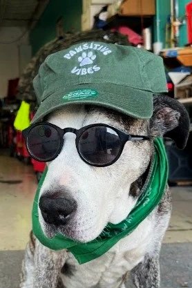 custom-embroidered-trucker-hats-austin.jpg