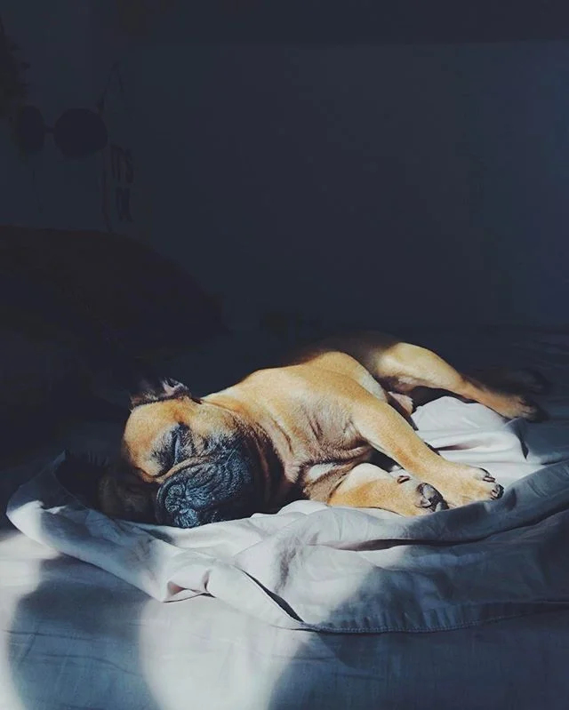 Wake up Frank! It's Friday! 🎉