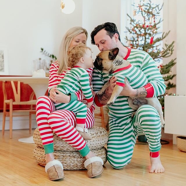 MERRY CHRISTMAS! 💚🎄🐶 #citydogliving #hannajams