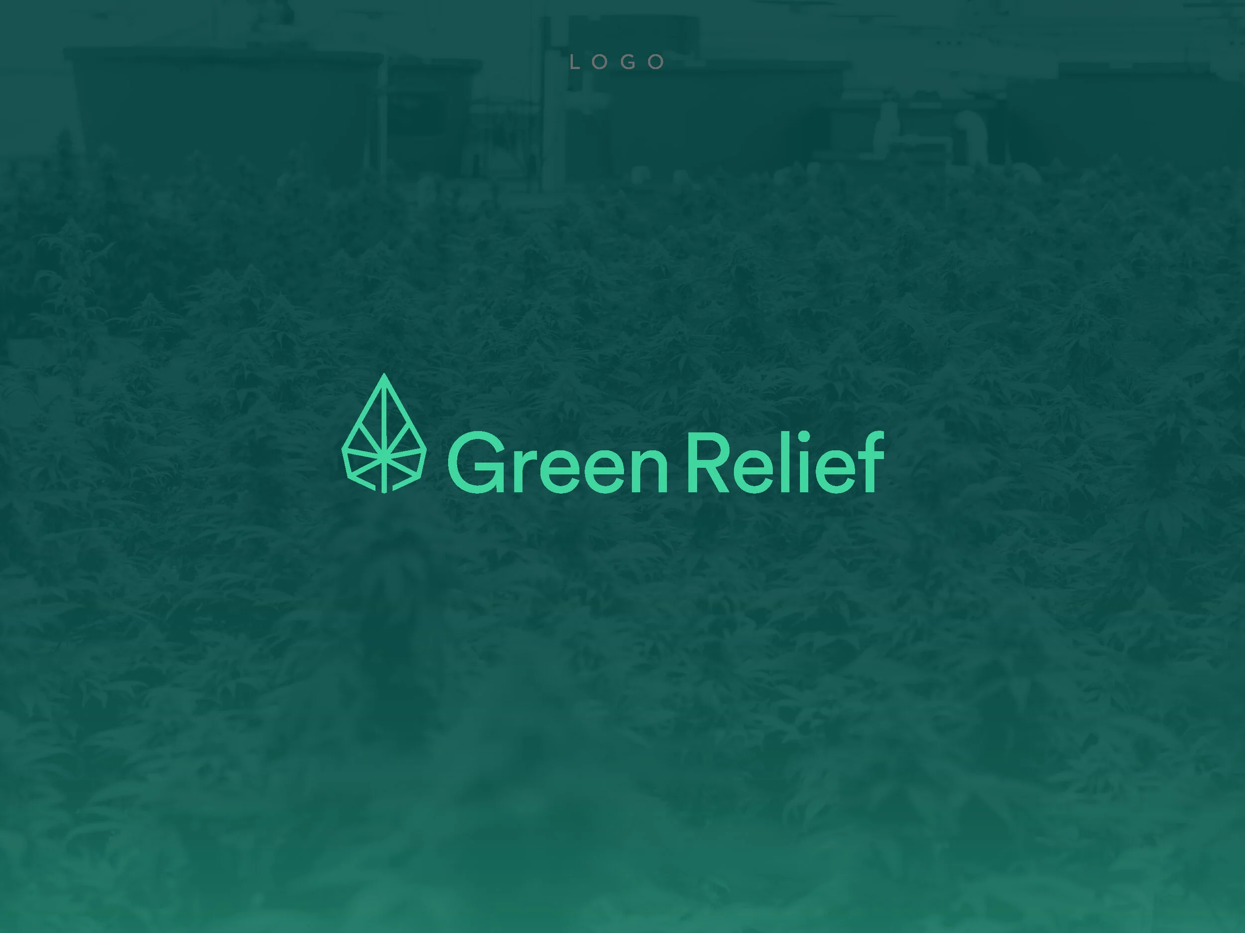 GreenRelief_Branding_Guide_Page_04.jpg