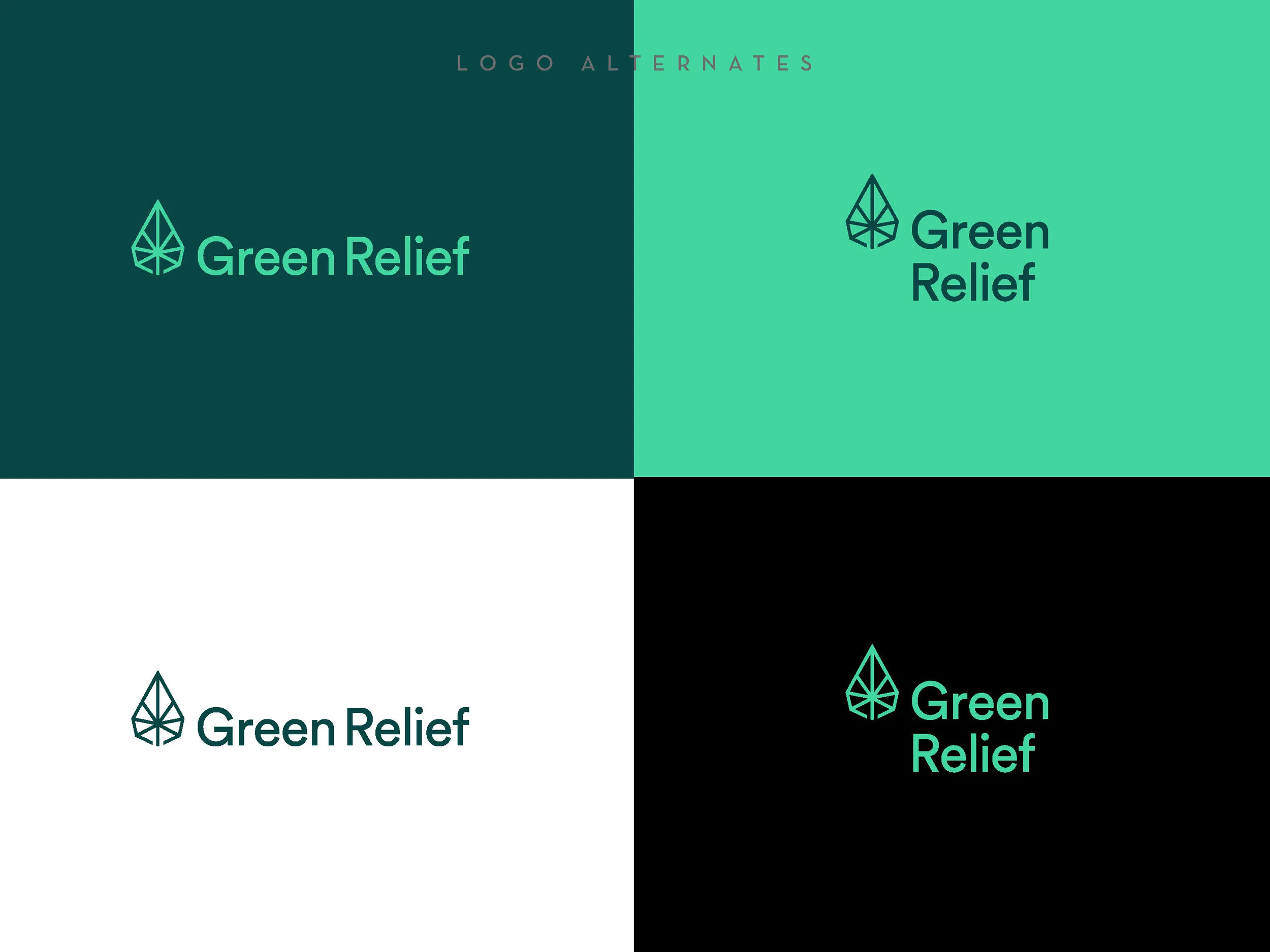 GreenRelief_Branding_Guide_Page_06.jpg