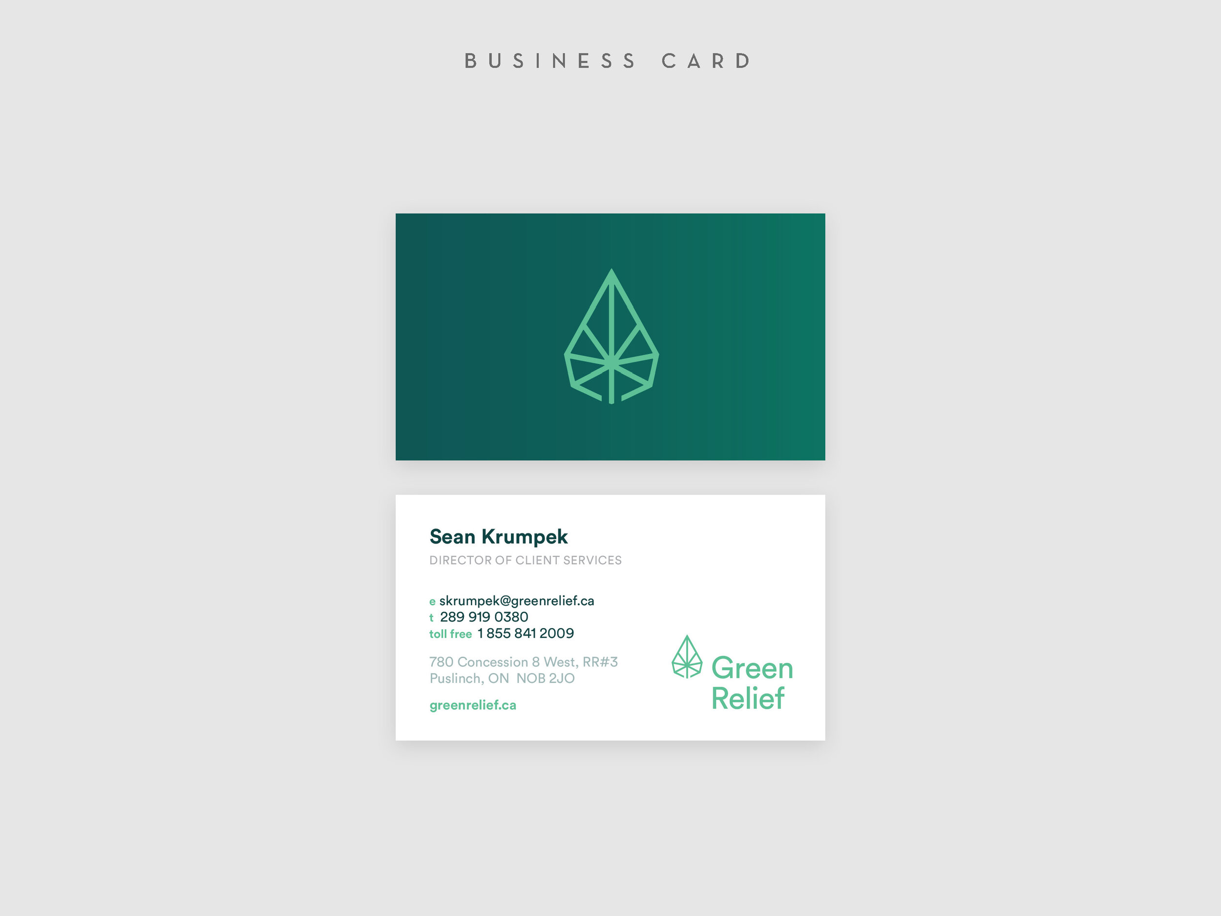 GreenRelief_Branding_Guide_Page_09.jpg