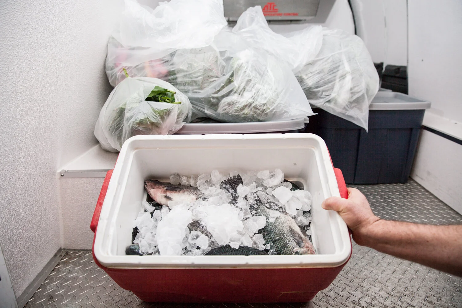 Second-harvest-fish-donation-10.jpg