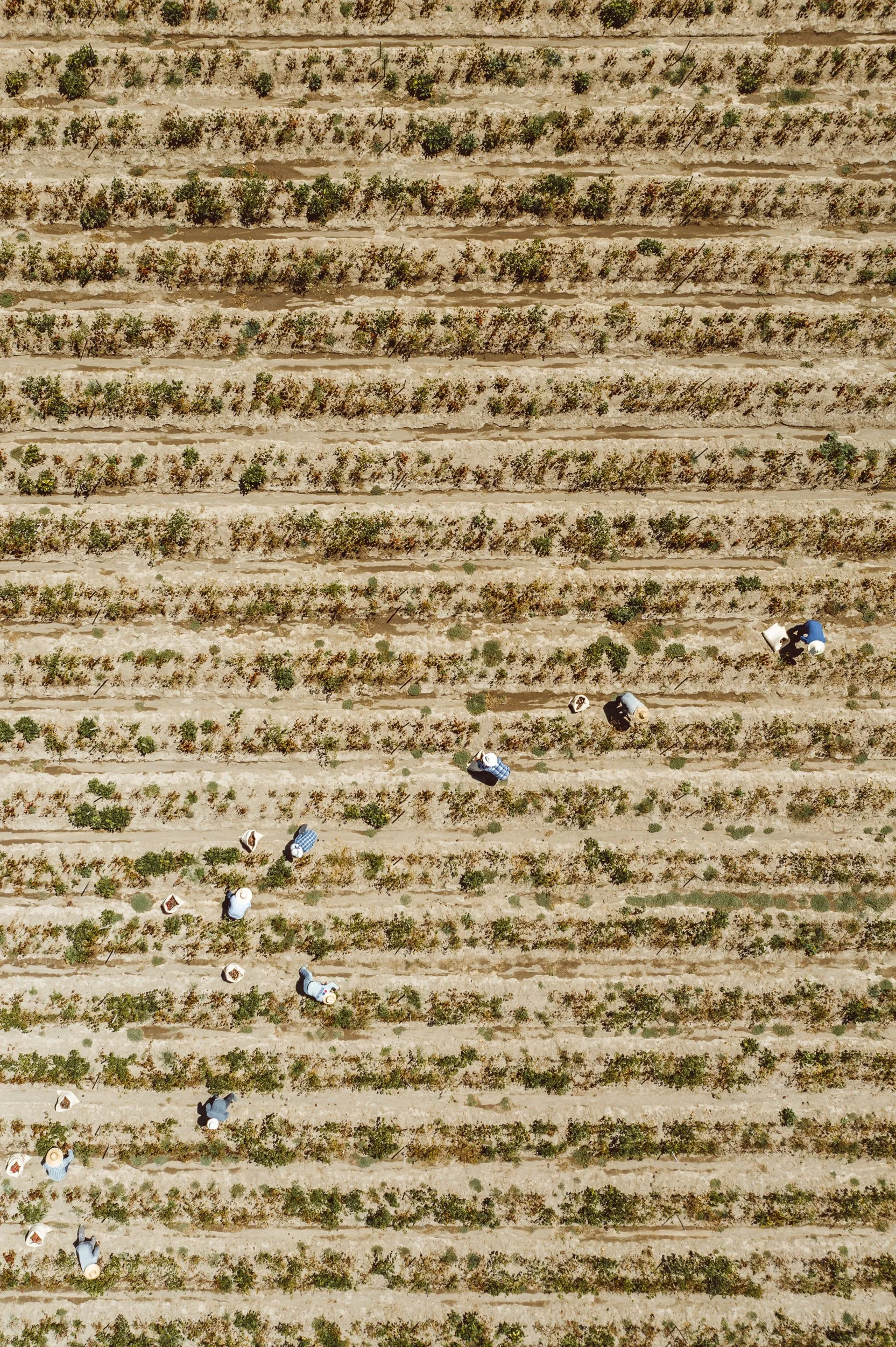 20190920-DJI_0038.jpg