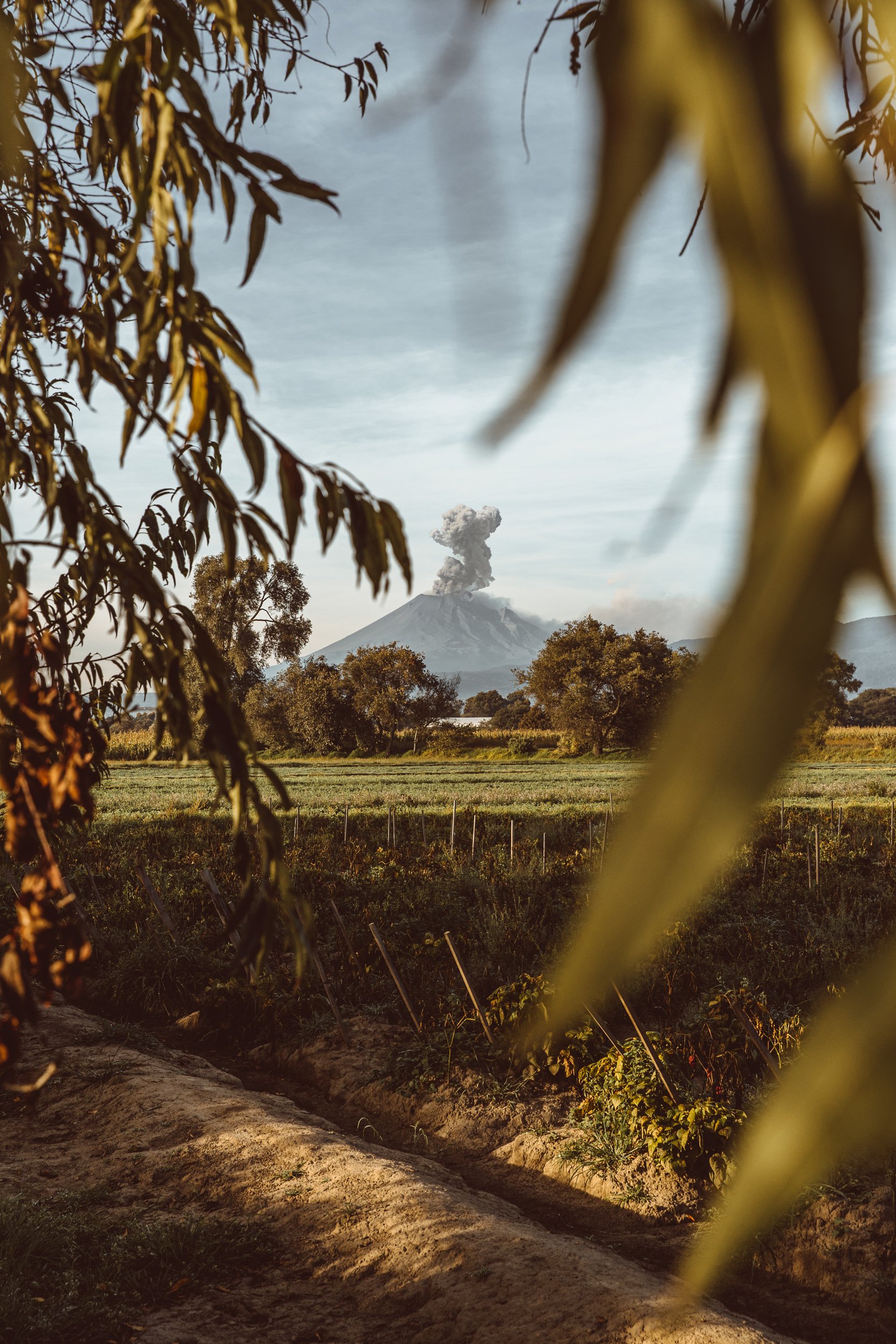 20191015-AnchoReyes-Puebla-4565-Edit.jpg