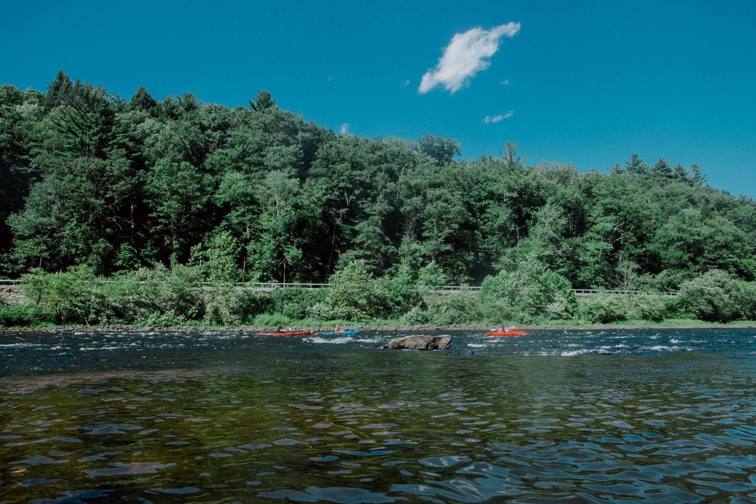 Delaware Rafting Trip-0428.jpg