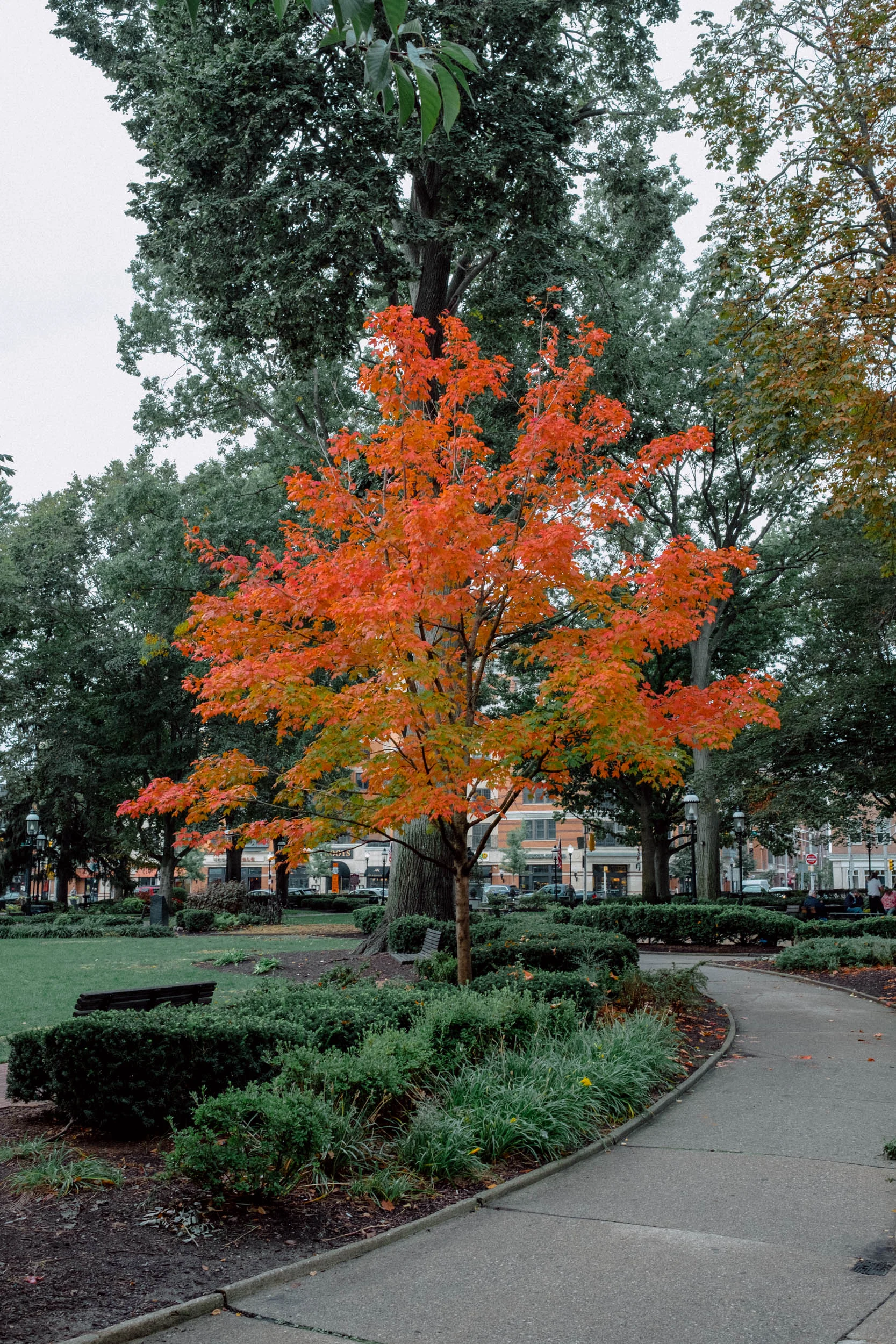On the Morristown Green