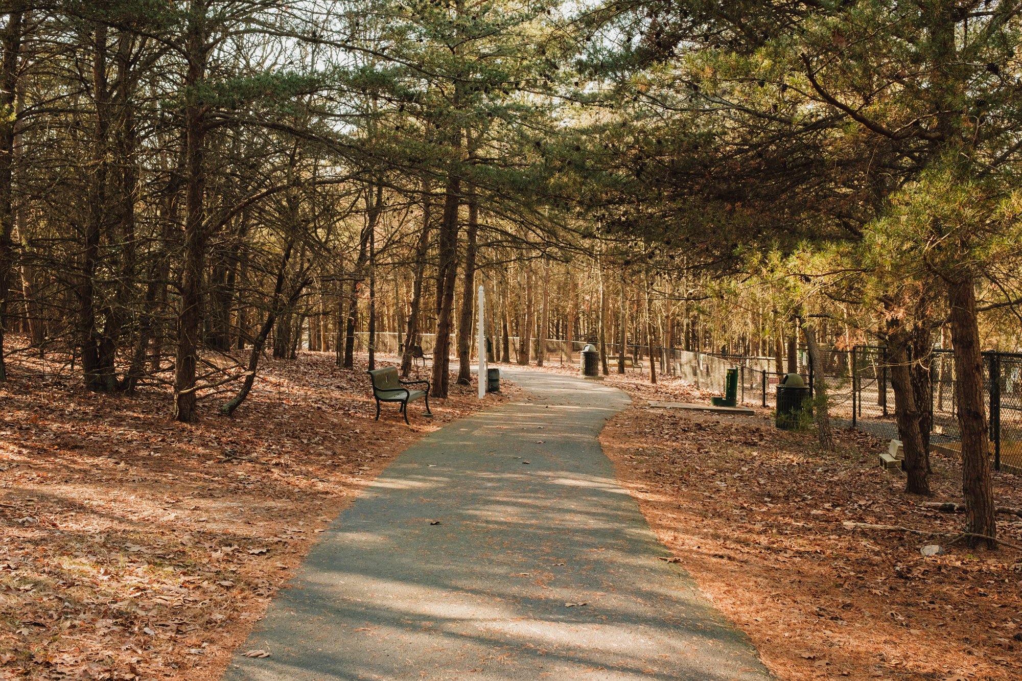 Washington Lake Park