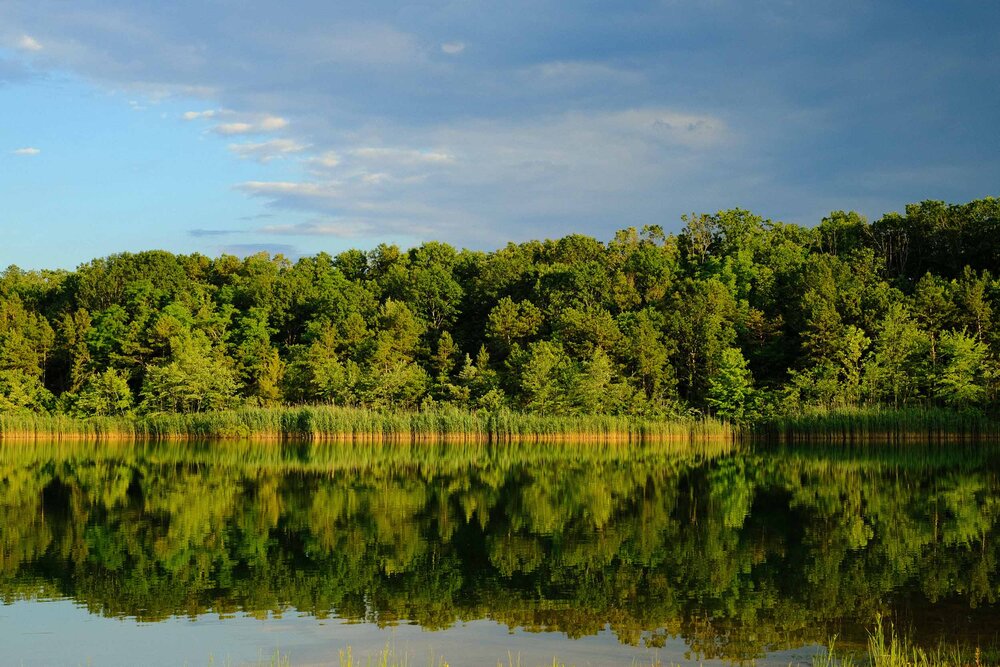  Autumn Lake Winery in Victory Lakes, Monroe Township, New Jersey on June 26, 2020 by Michael Mroczek. Photographed with a Fujifilm X-Pro2 and XF35mmF1.4 R lens at 35 mm | ƒ / 8.0 | 1/140 sec. 