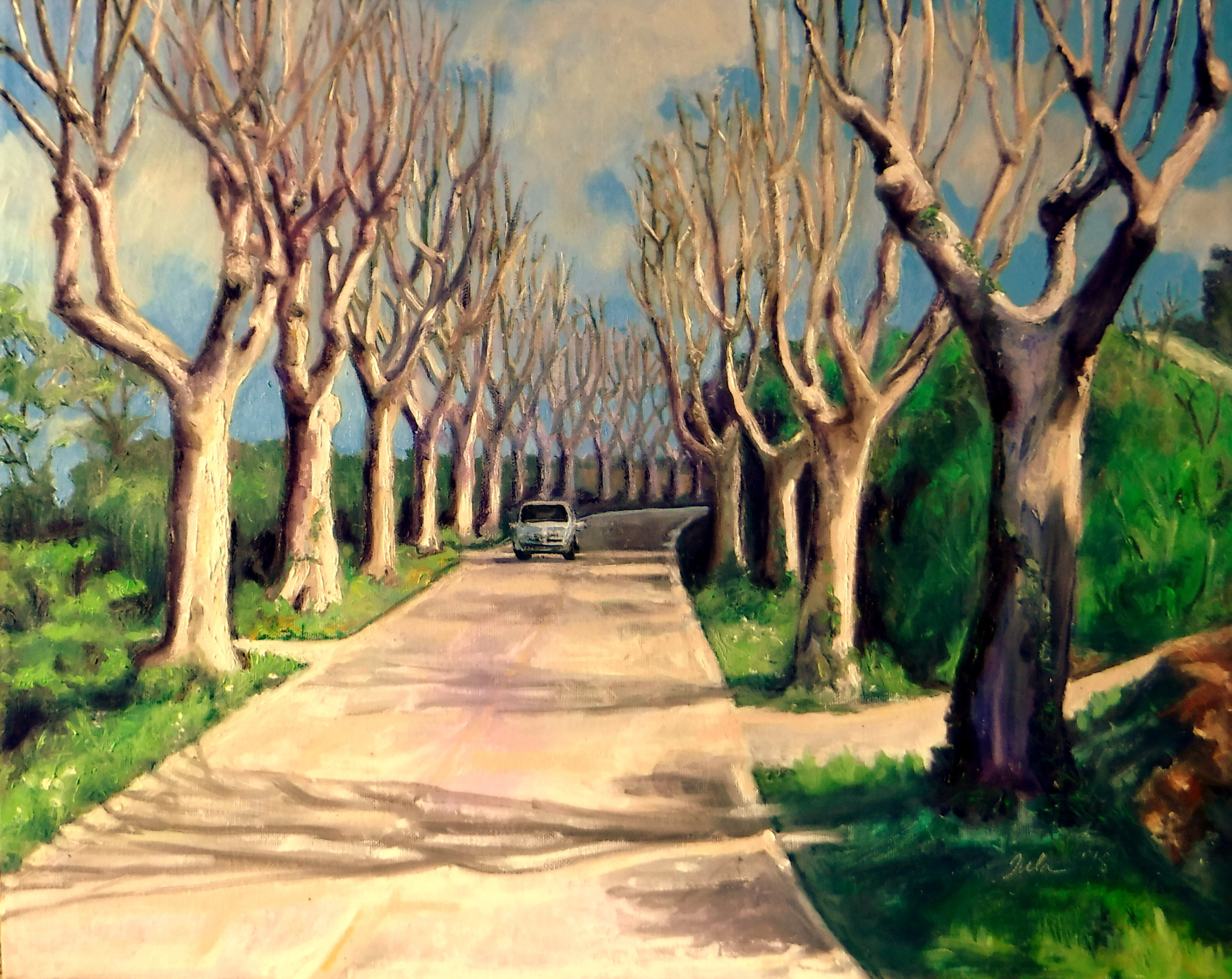 The Plane Trees of Provence- Copyright 2018