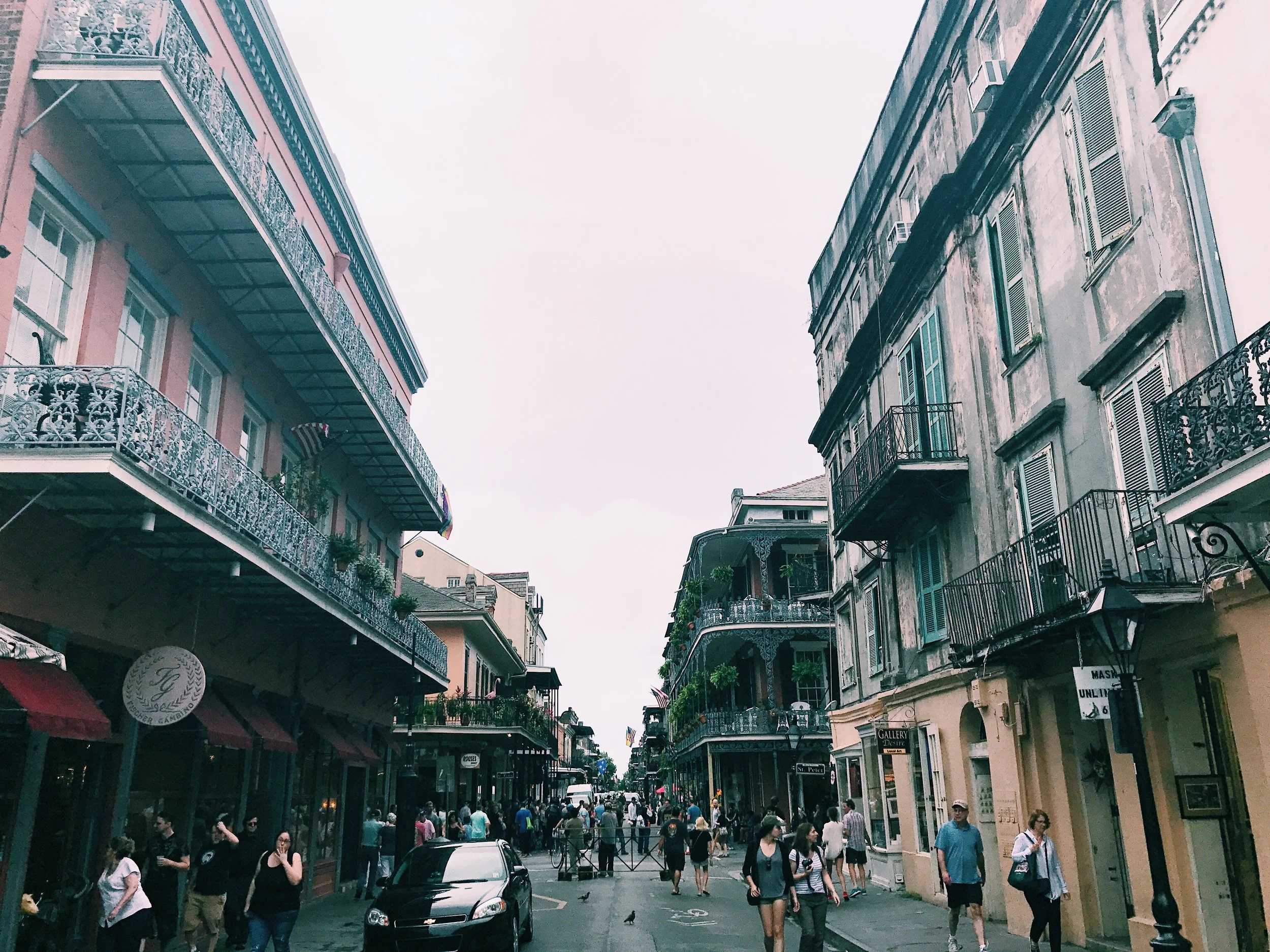 Those Dixie Trees. An evening in New Orleans