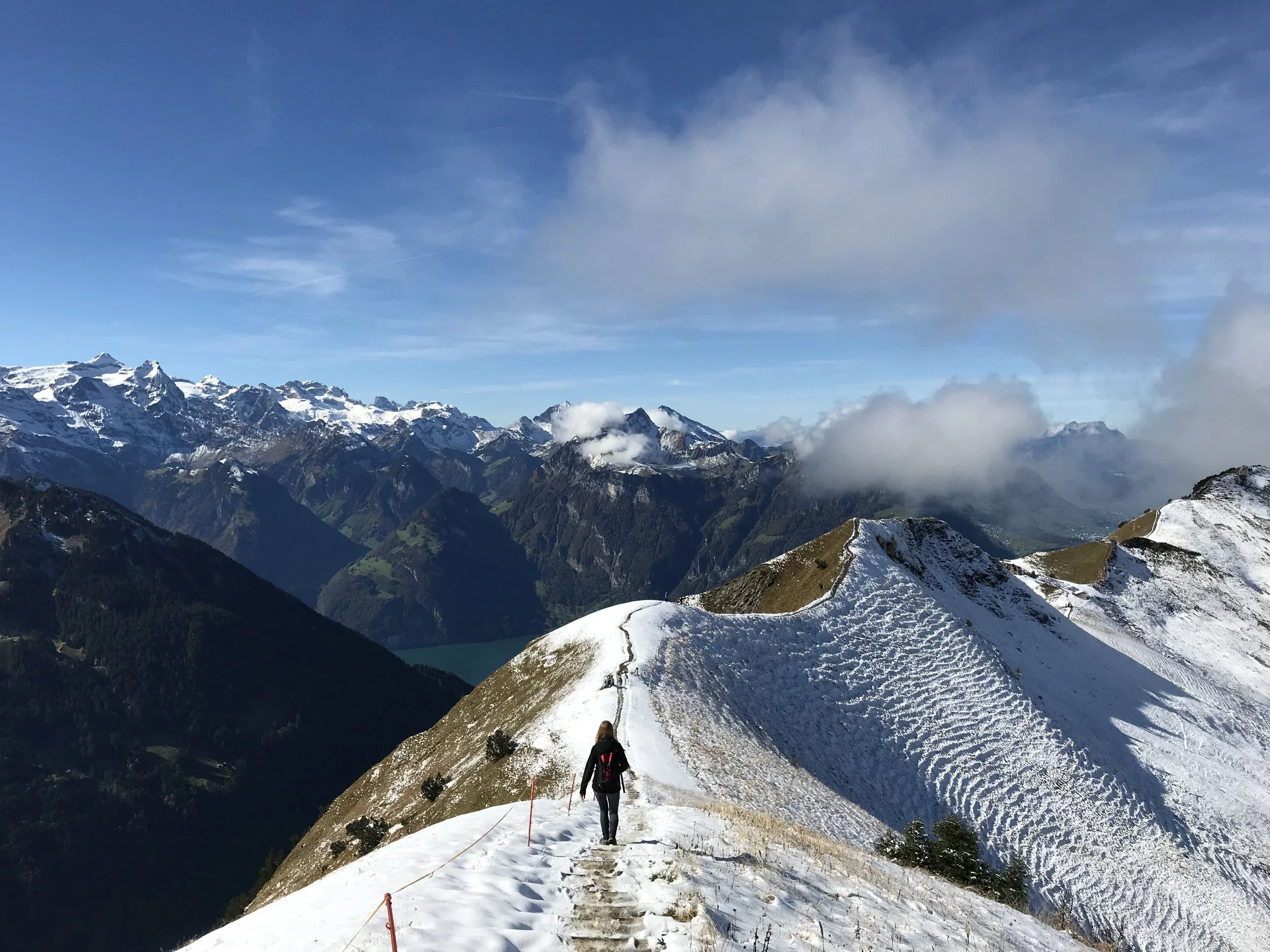 In the Mountains of Switzerland