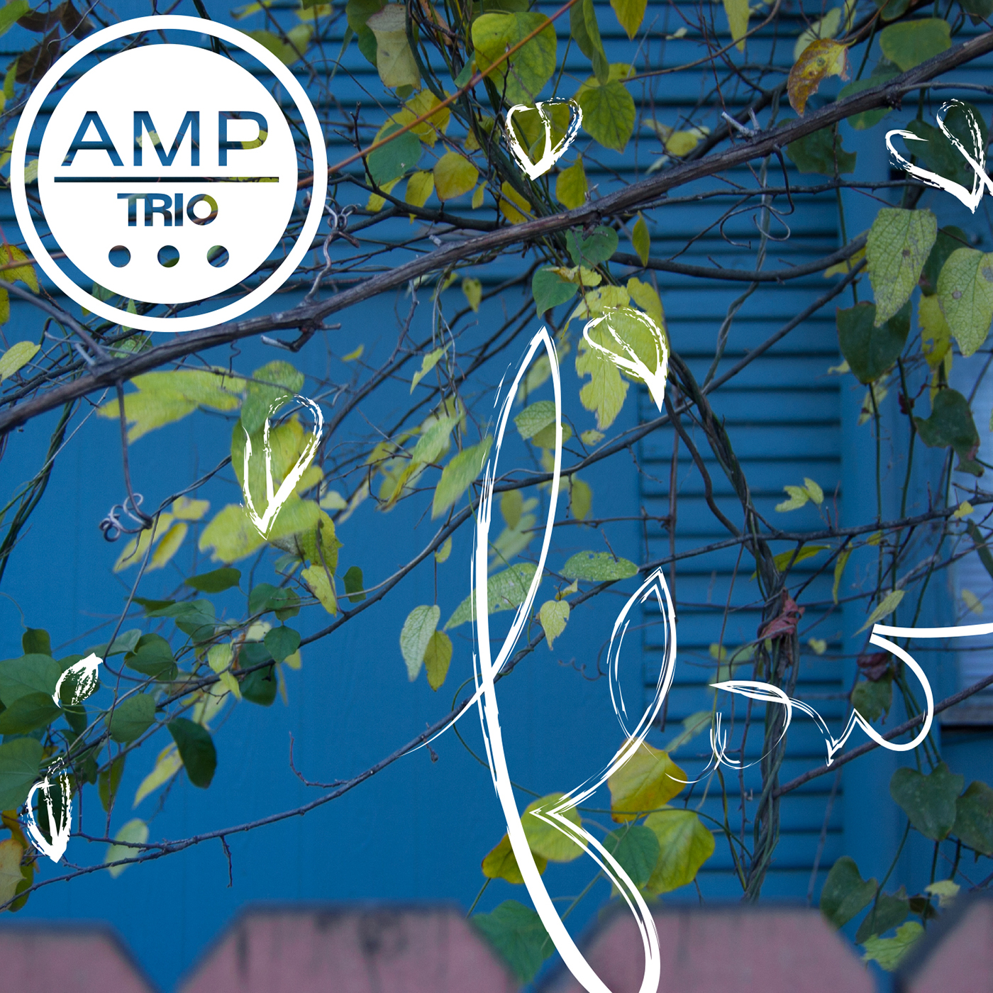 Flow: AMP Trio