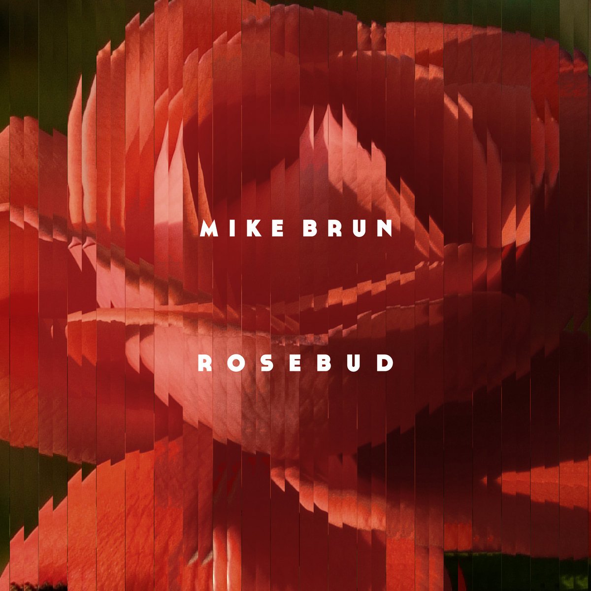 Mike Brun - rosebud.jpeg