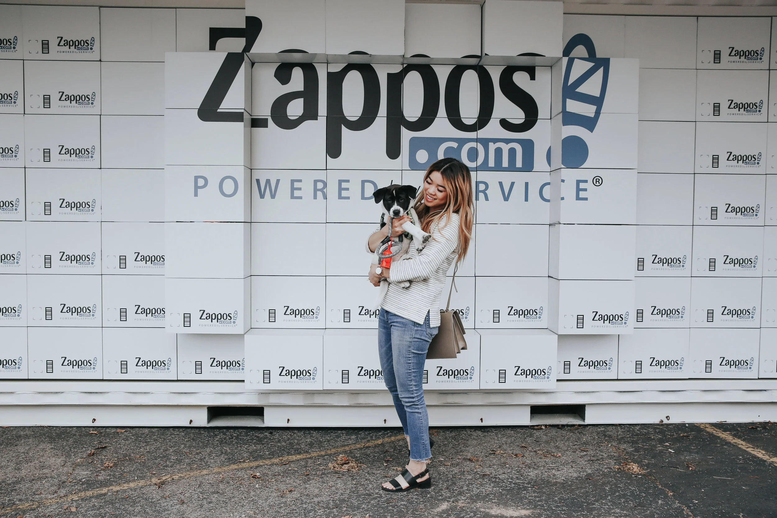 zappos special occasion shoes