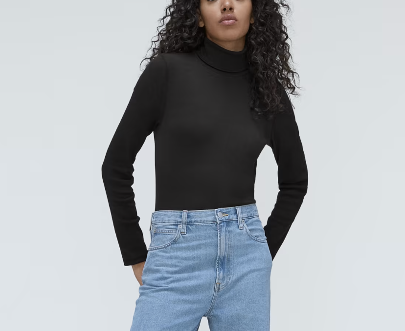 Everlane The Pima Micro-Rib Turtleneck