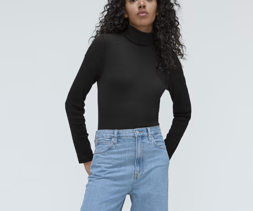 Everlane The Pima Micro-Rib Turtleneck