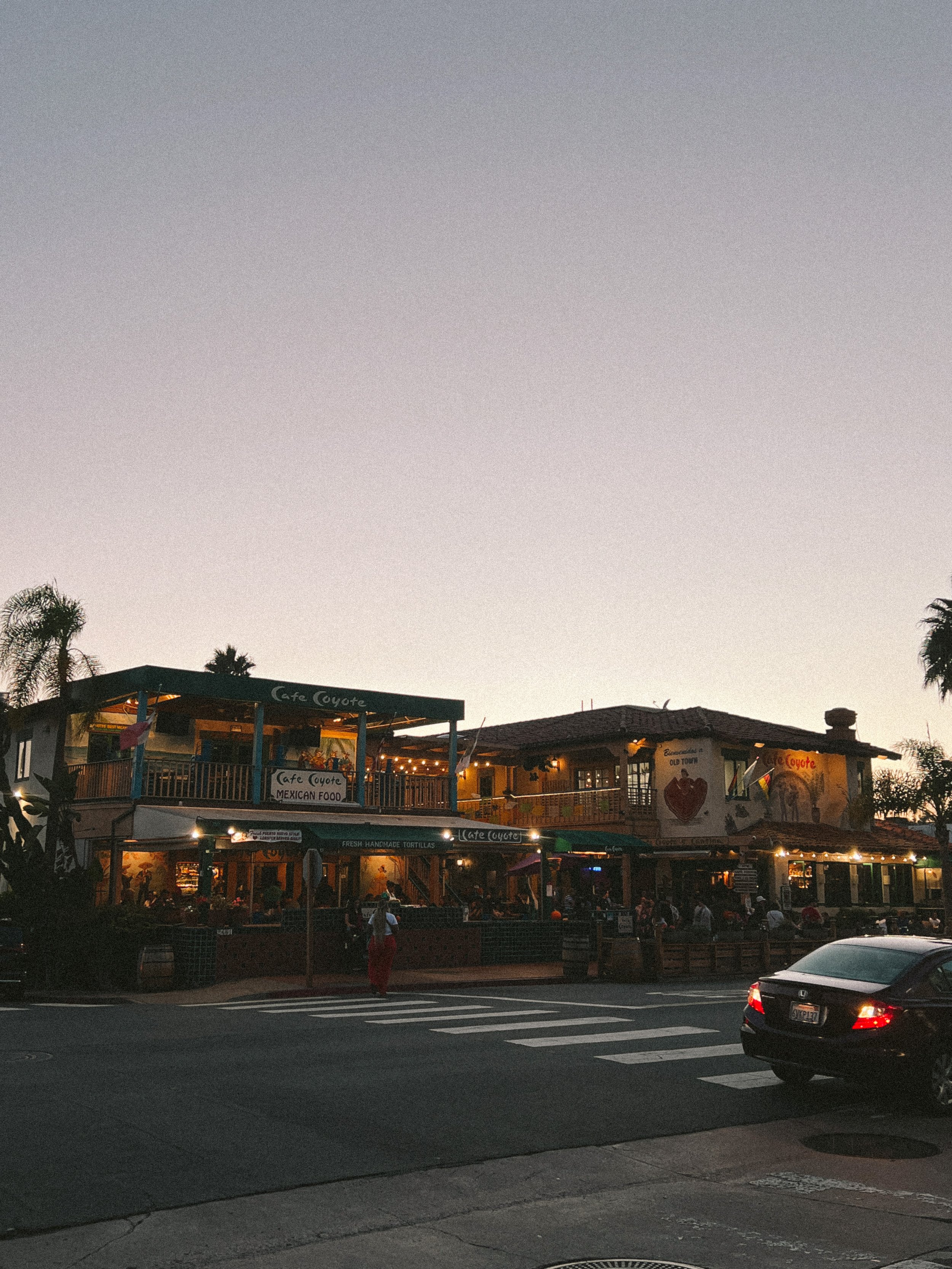 Cafe Coyote