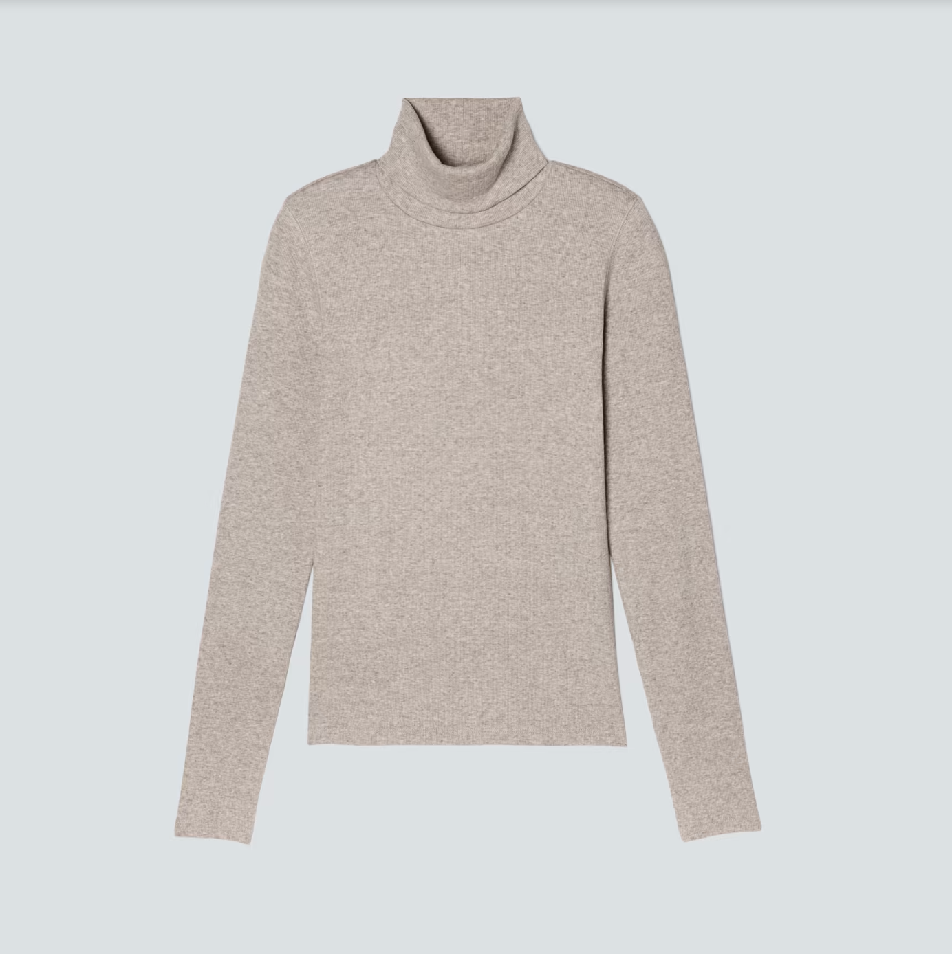 Everlane The Pima Micro-Rib Turtleneck