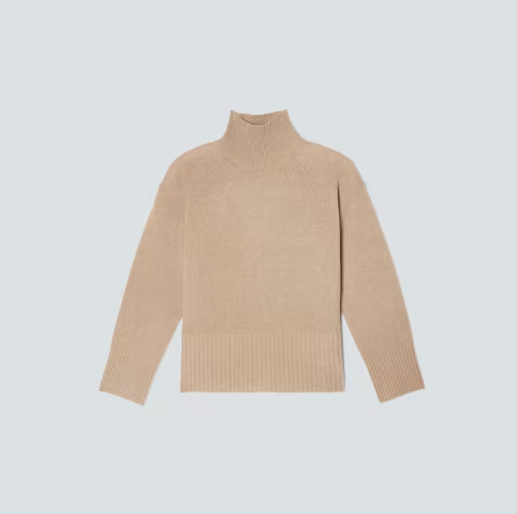 Everlane The ReCashmere® Oversized Turtleneck