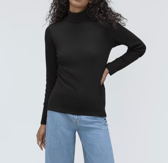 Everlane The Pima Micro-Rib Turtleneck