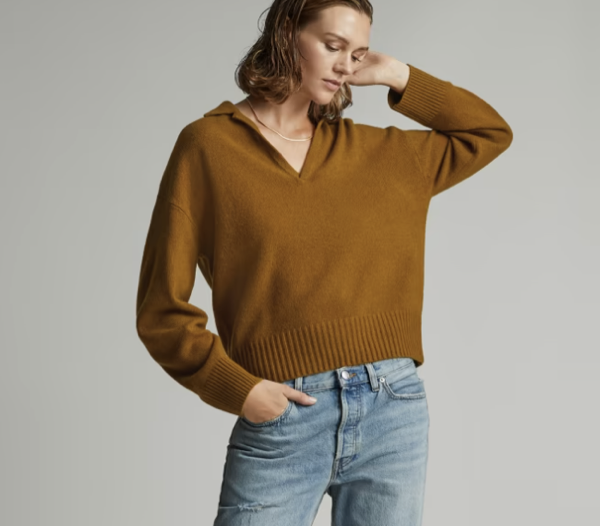 Everlane The Cashmere Polo