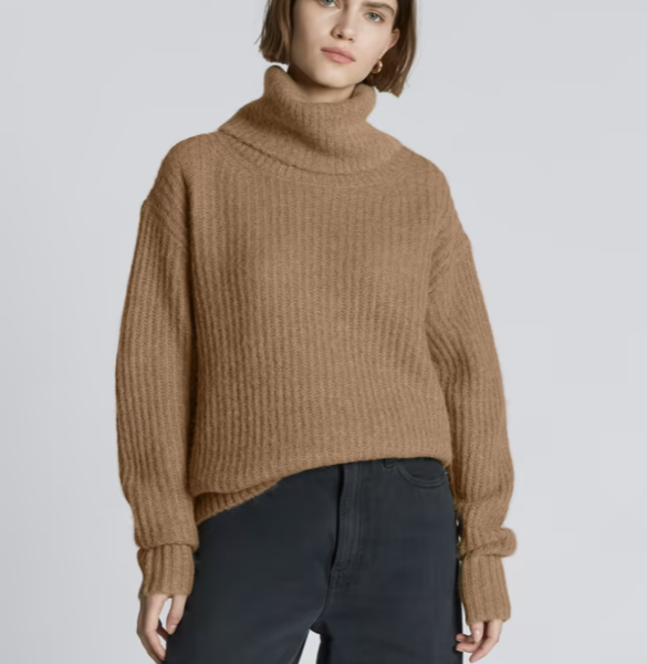 Everlane The Alpaca Oversized Turtleneck