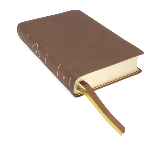 NIV Large Print Bible