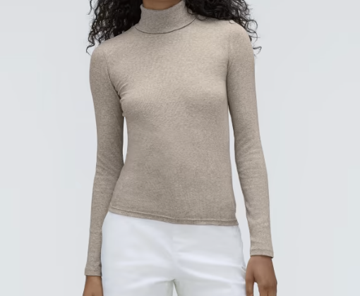 Everlane The Pima Micro-Rib Turtleneck