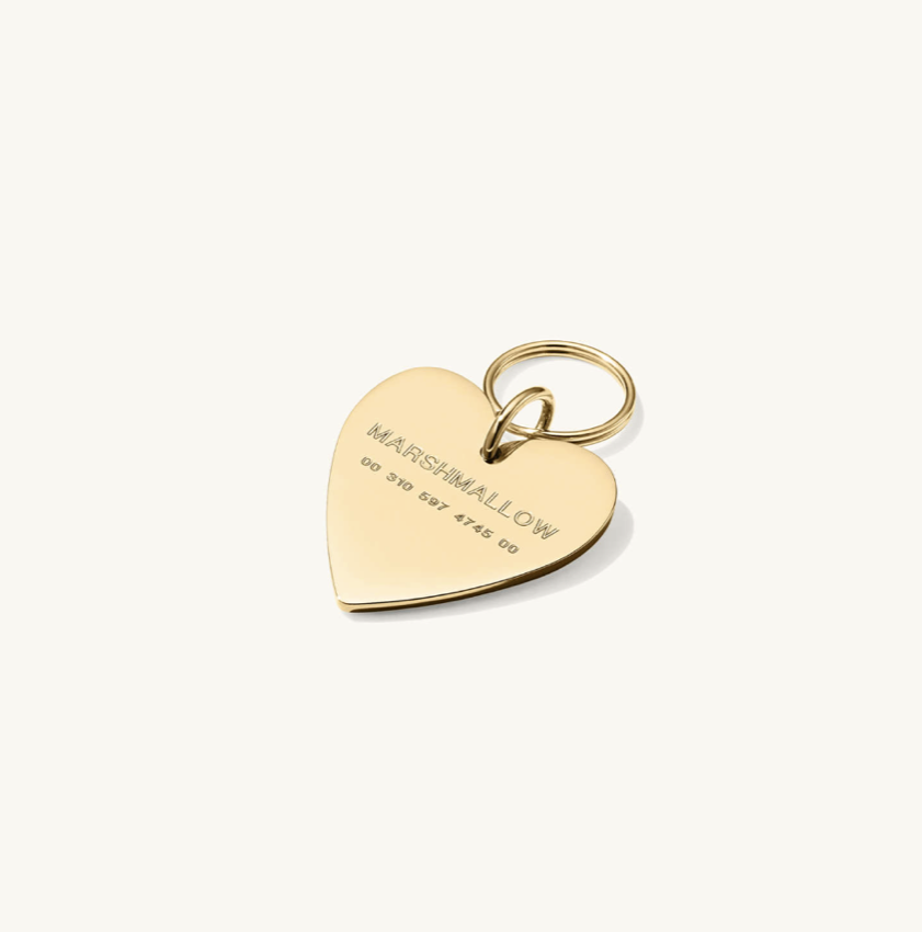 Heart Pet Tag