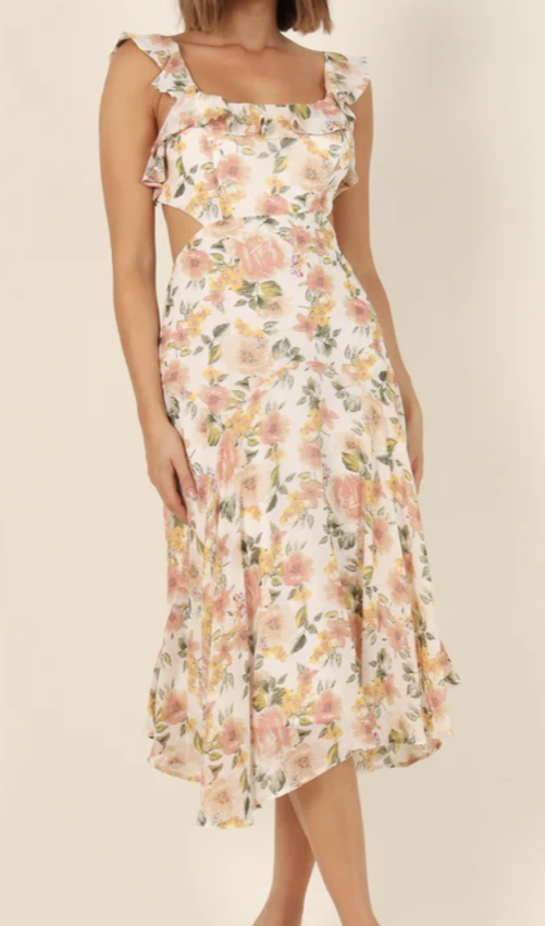 Petal &amp; Pup Emmie Dress