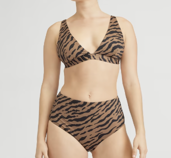 Everlane The ReNew Plunge Triangle Top