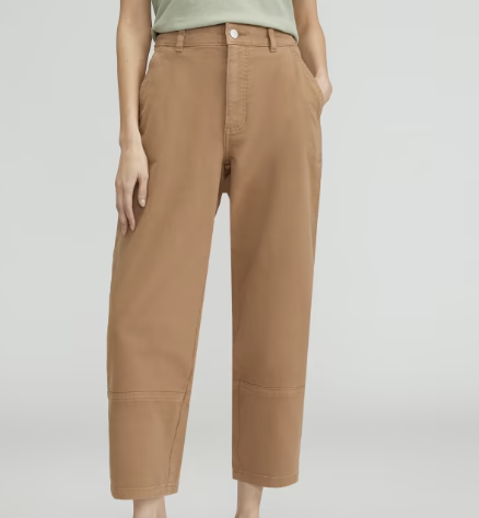  Everlane The Utility Barrel Pant