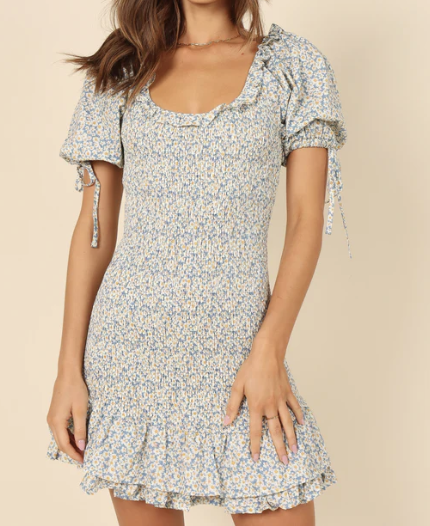 Petal &amp; Pup Marabella Shirred Mini Dress - Blue