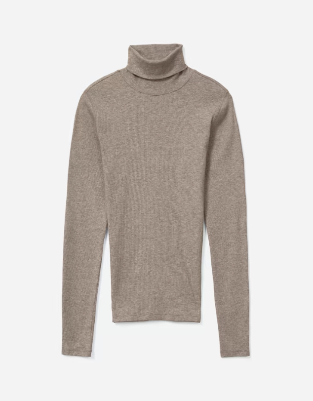 Everlane The Pima Micro-Rib Turtleneck (XS)