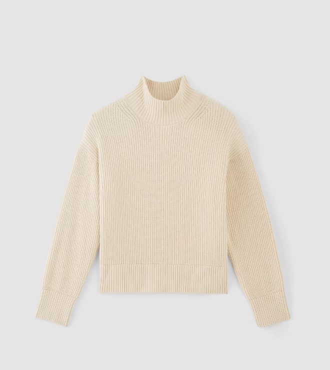 Everlane The Organic Cotton Ribbed Turtleneck