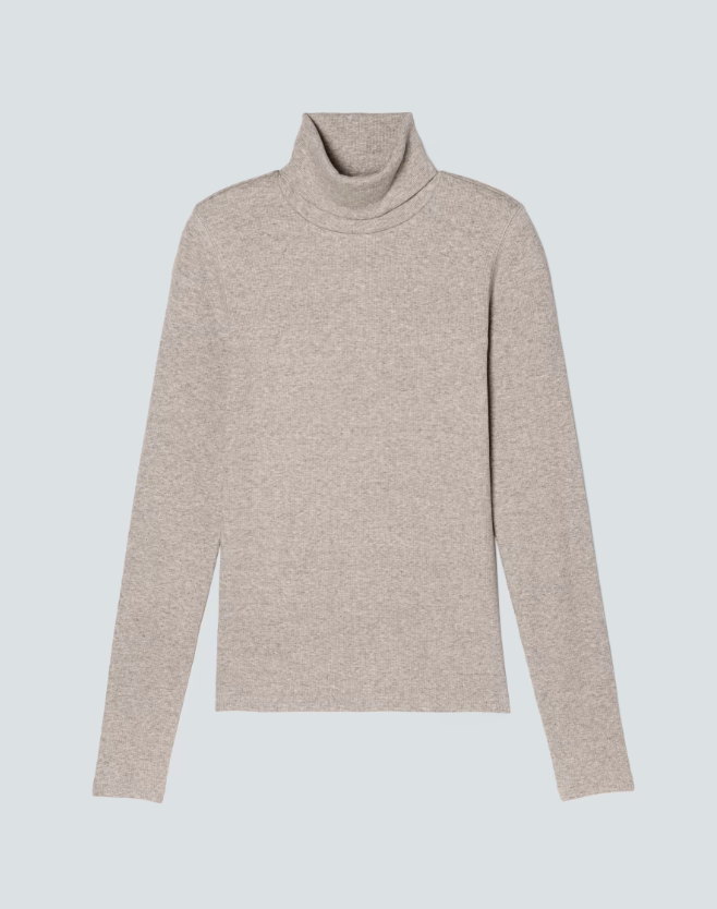 Everlane The Supima Micro-Rib Turtleneck