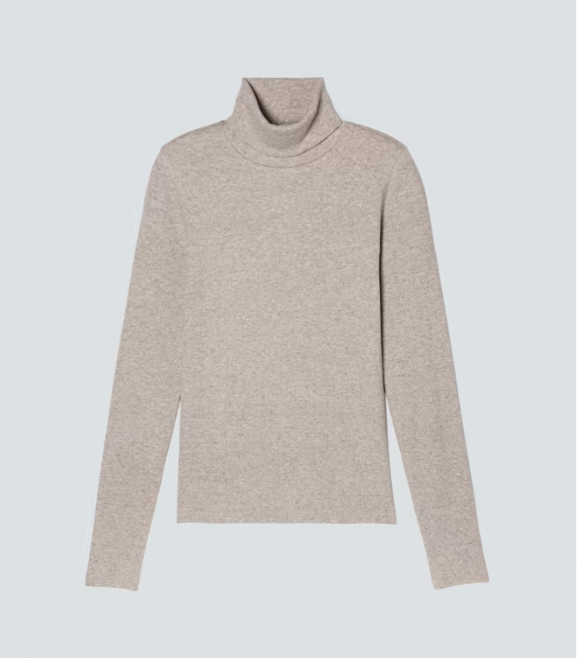 Everlane The Lux Rib Turtleneck