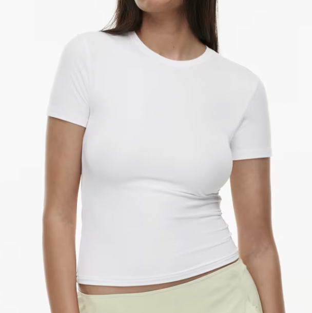 Aritzia Emmer T-Shirt