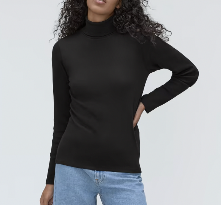 Everlane The Luxe Rib Turtleneck