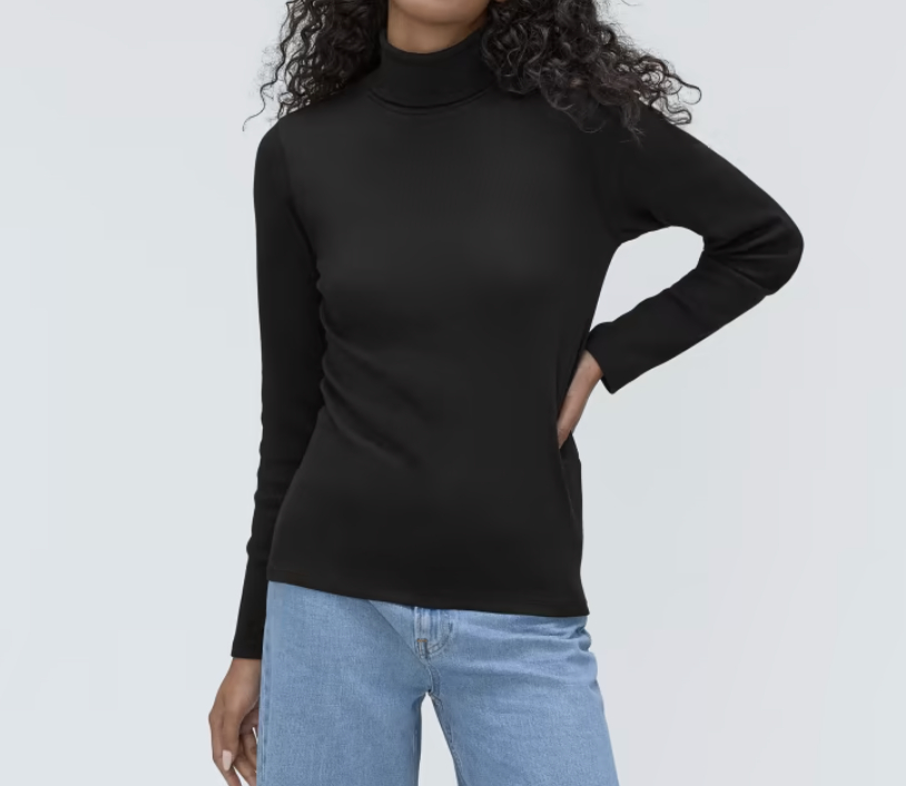 Everlane The Luxe Rib Turtleneck 