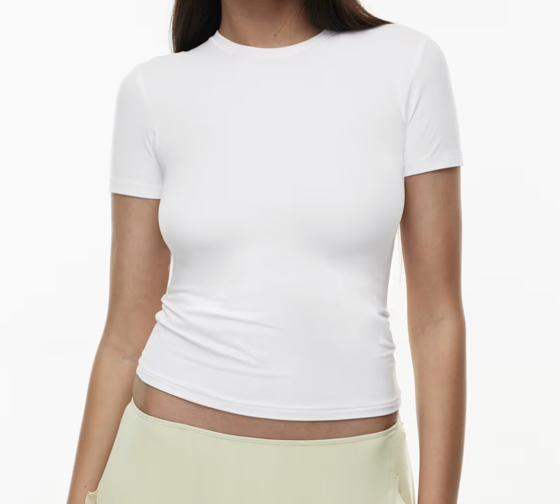 Aritzia Emmer T-Shirt