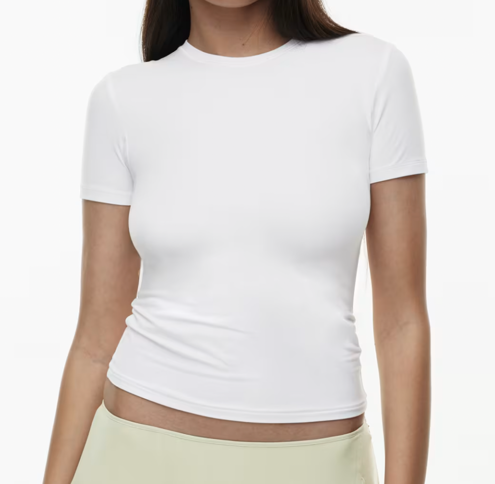Aritzia Emmer T-Shirt