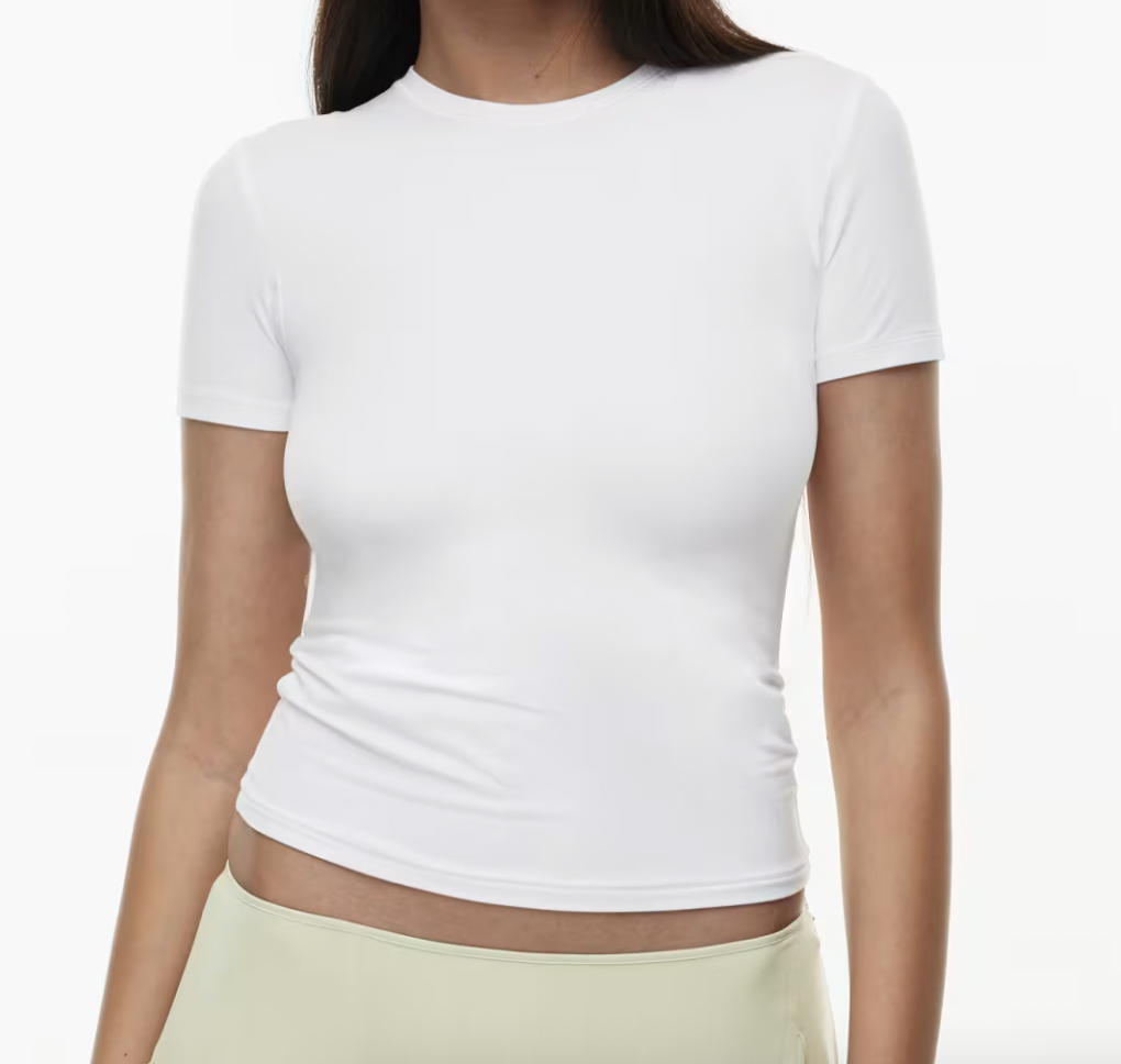 Aritzia Emmer T-Shirt
