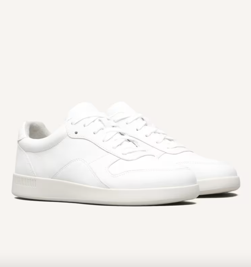 Everlane The Court Sneaker 
