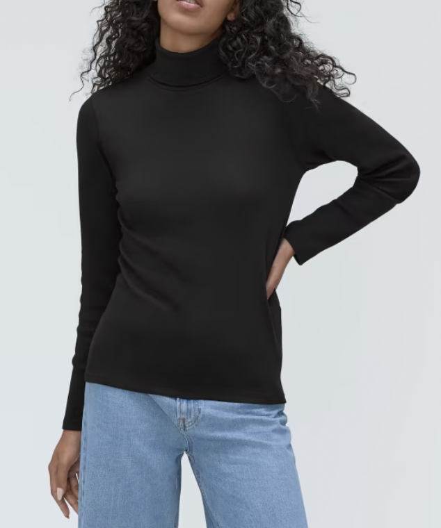 Everlane The Luxe Rib Turtleneck