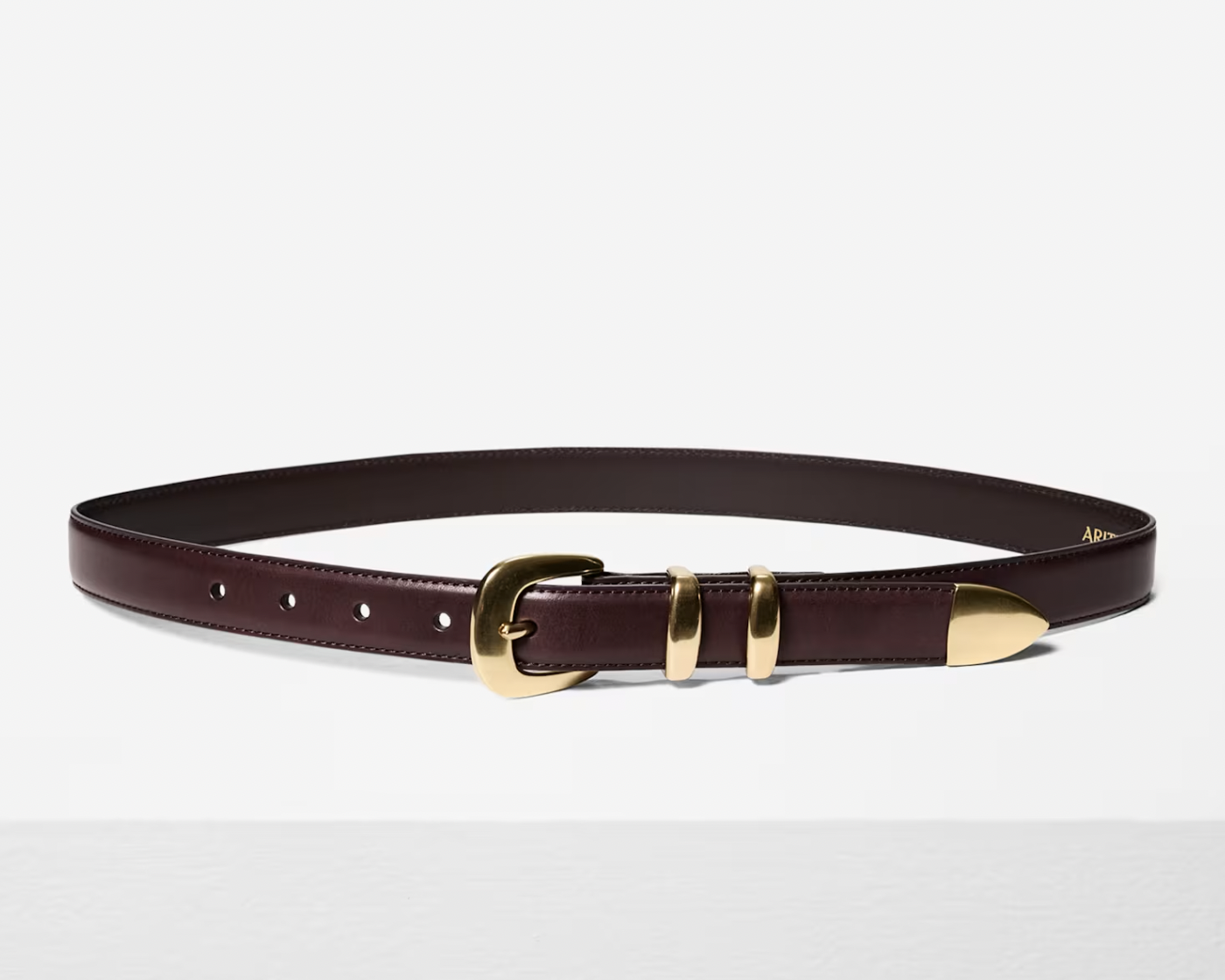 Aritzia Legendary Solid Brass Leather Belt